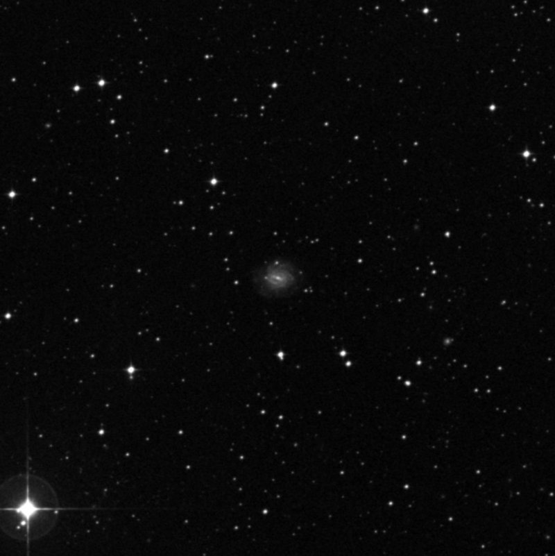 NGC 6993 - Zoom