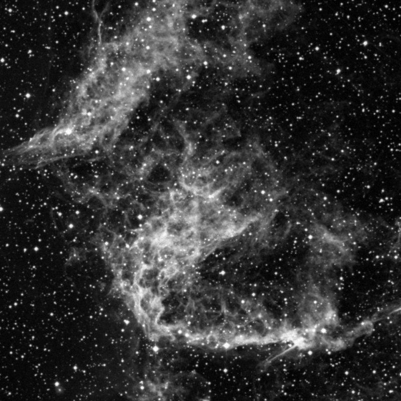 Velo Oriental, Nebulosa de la Red - Zoom