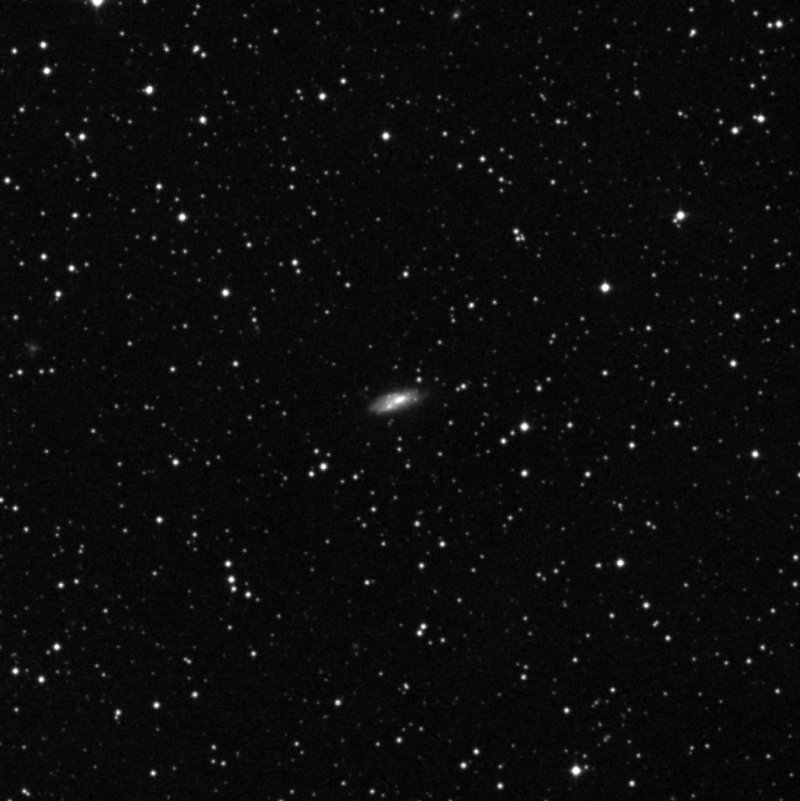 NGC 7116 - Zoom