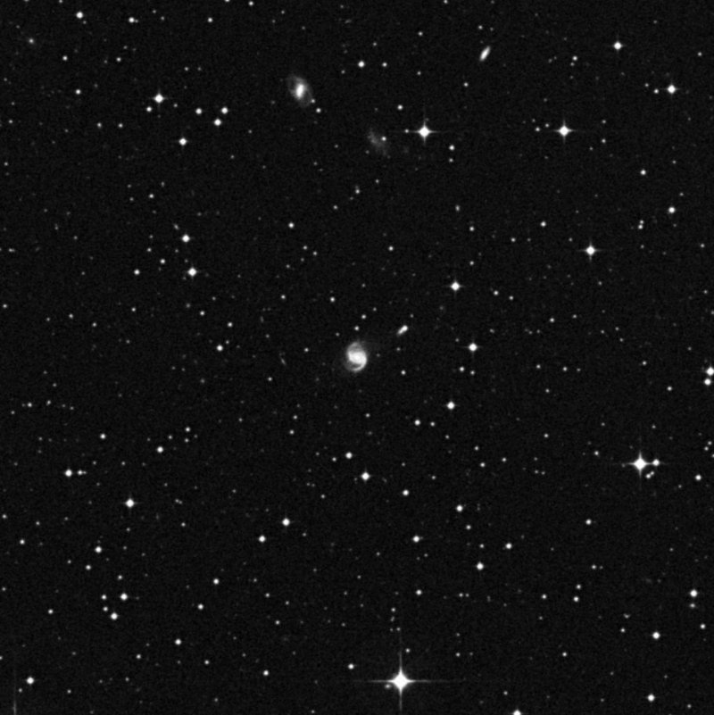 IC 1337 - Zoom