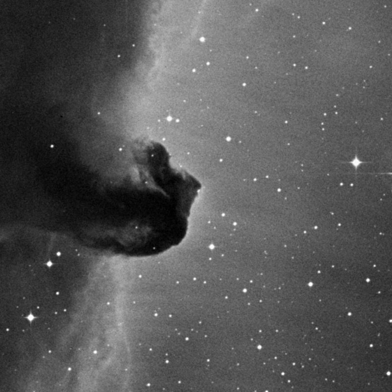 Barnard 33, Horsehead Nebula - Zoom