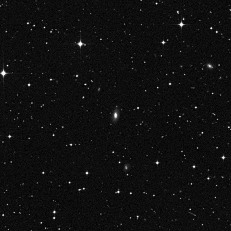 IC 1343 - Zoom