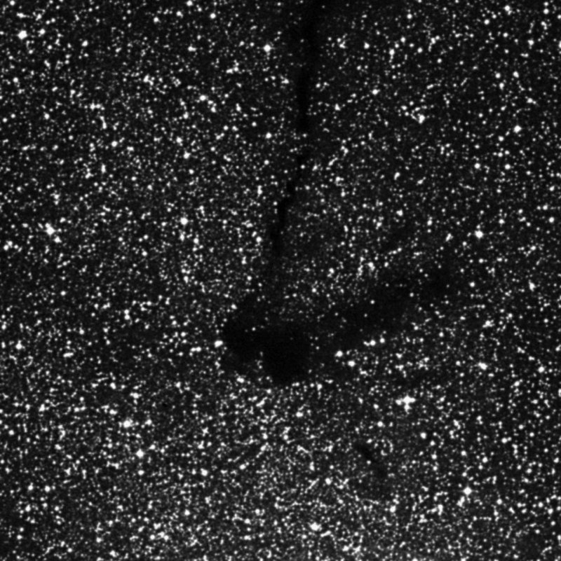 Barnard 104 - Zoom