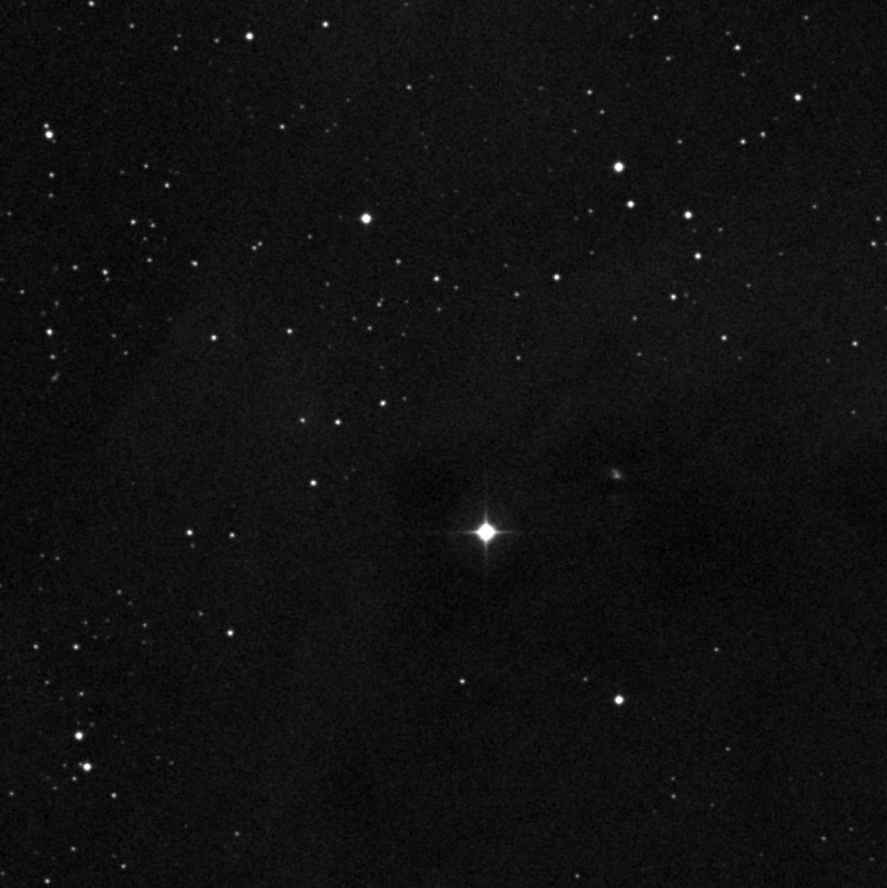 Barnard 203 - Zoom