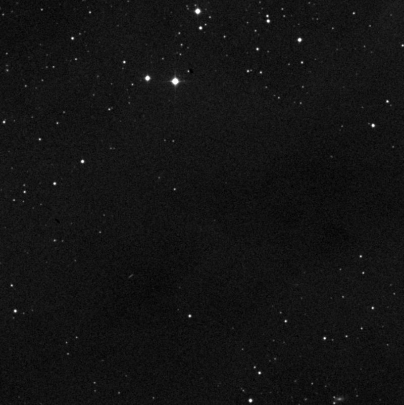 Barnard 213 - Zoom