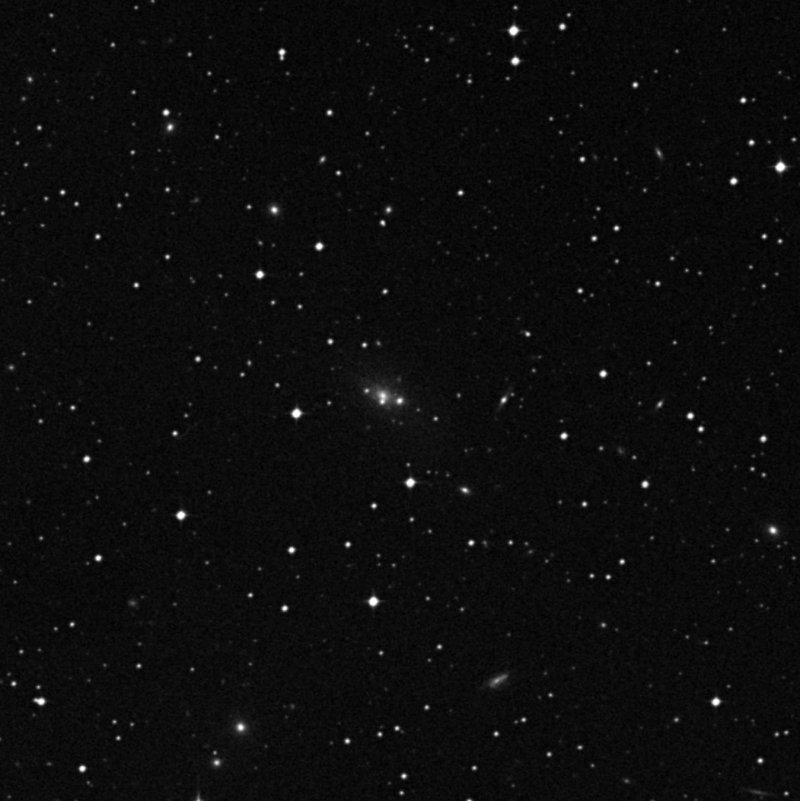 IC 136502 - Zoom