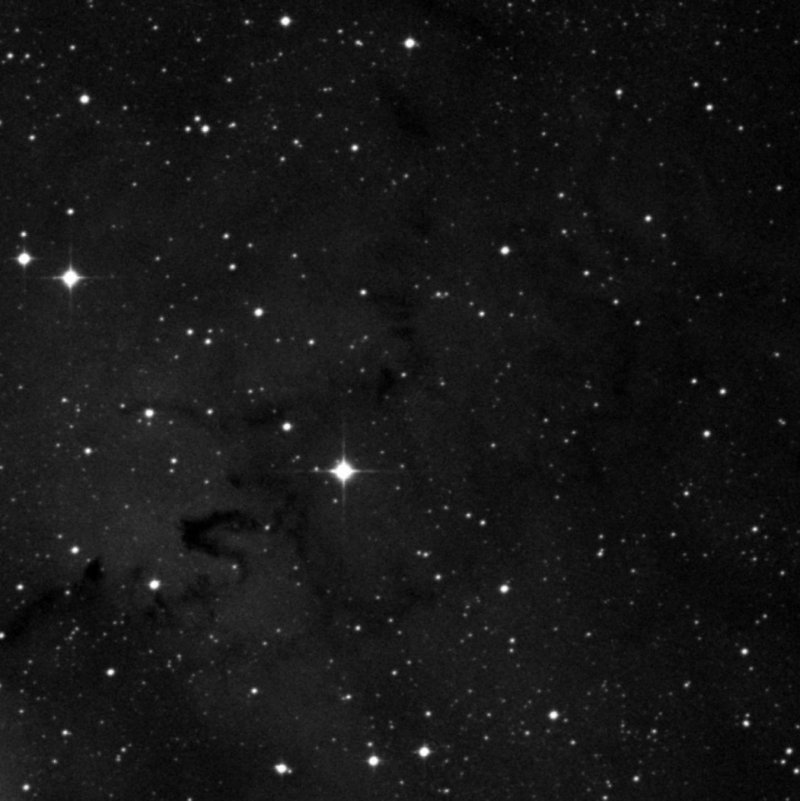 Barnard 302 - Zoom