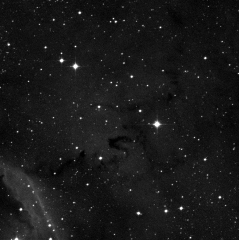 Barnard 303 - Zoom