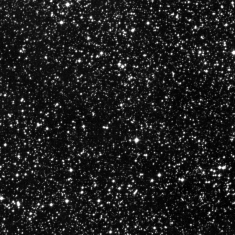 Barnard 304 - Zoom