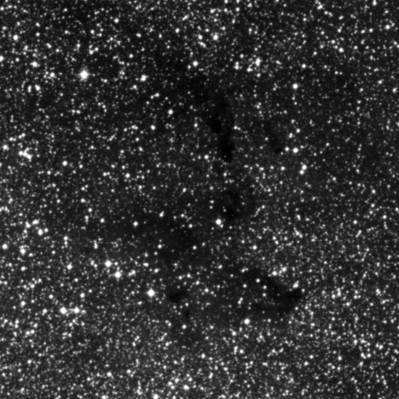 Barnard 307 - Zoom