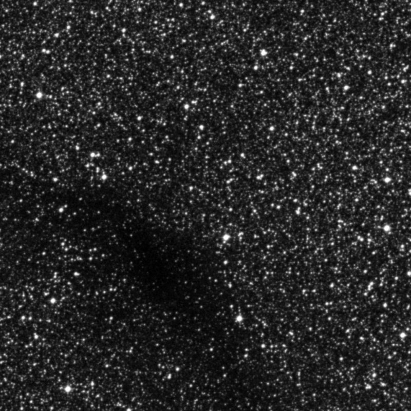 Barnard 311 - Zoom