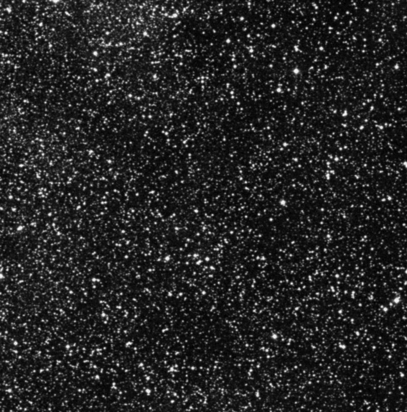 Barnard 319 - Zoom