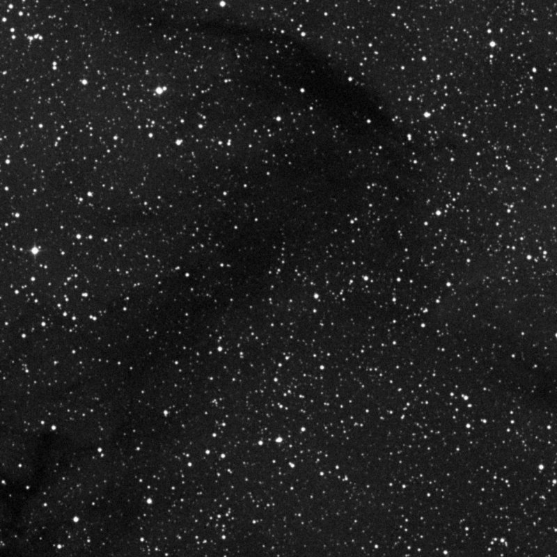 Barnard 365 - Zoom