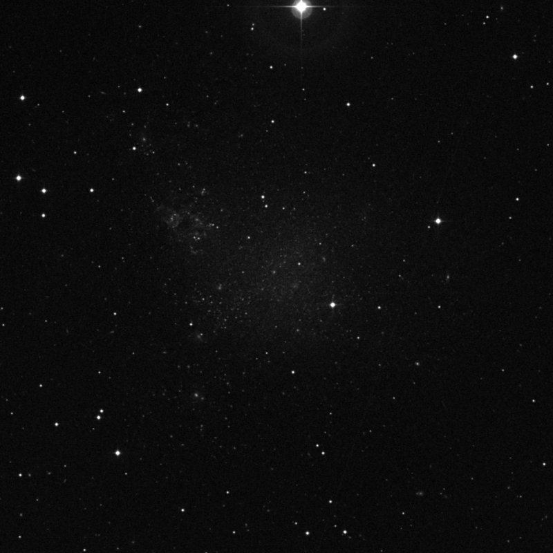 C 51 - Zoom