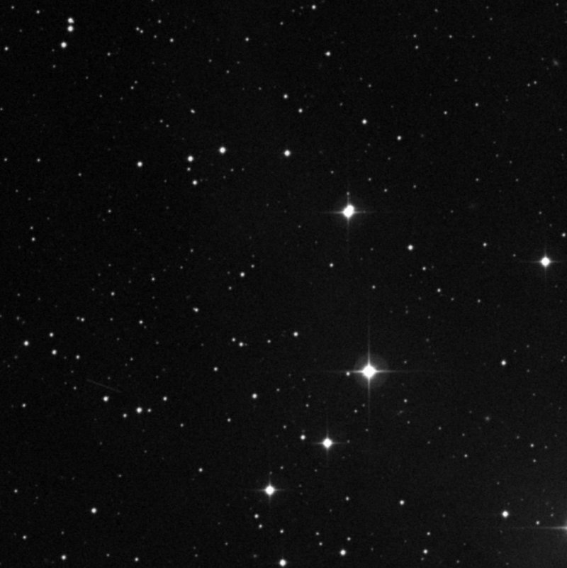 Cederblad 19m - Zoom