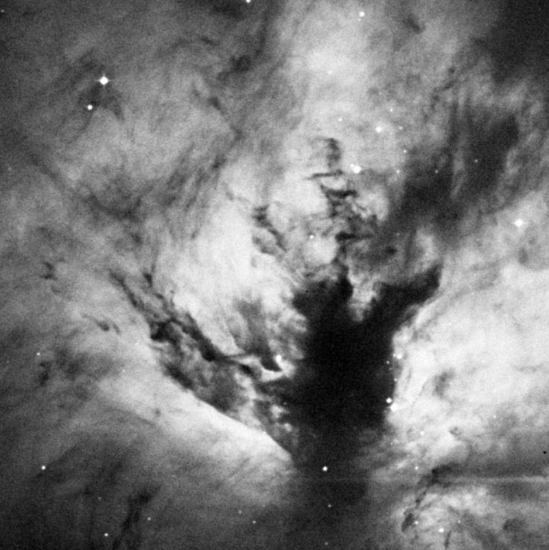 Cederblad 55p - Zoom