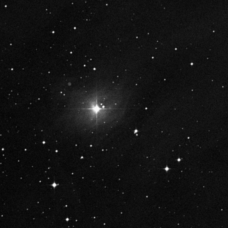 Cederblad 55q - Zoom