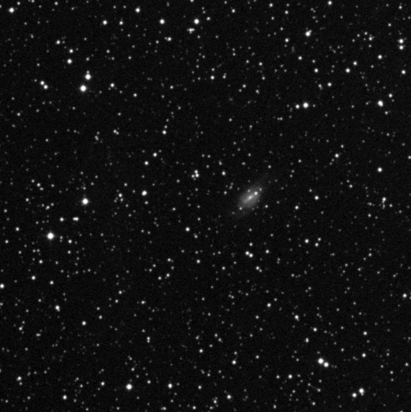 Cederblad 88 - Zoom