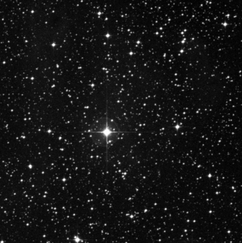 Cederblad 101 - Zoom