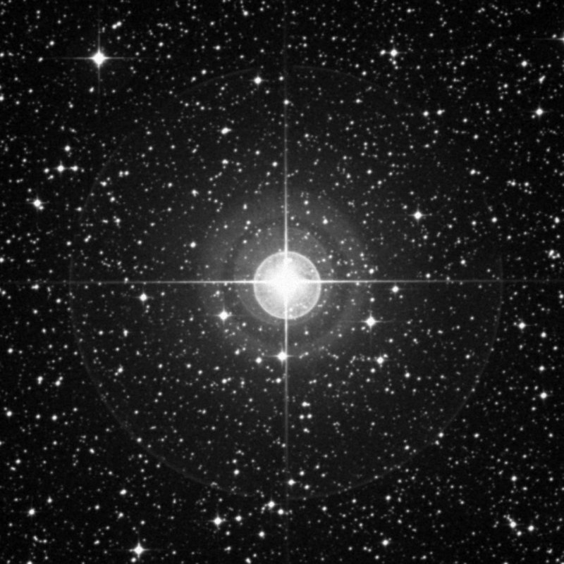 Cederblad 102 - Zoom