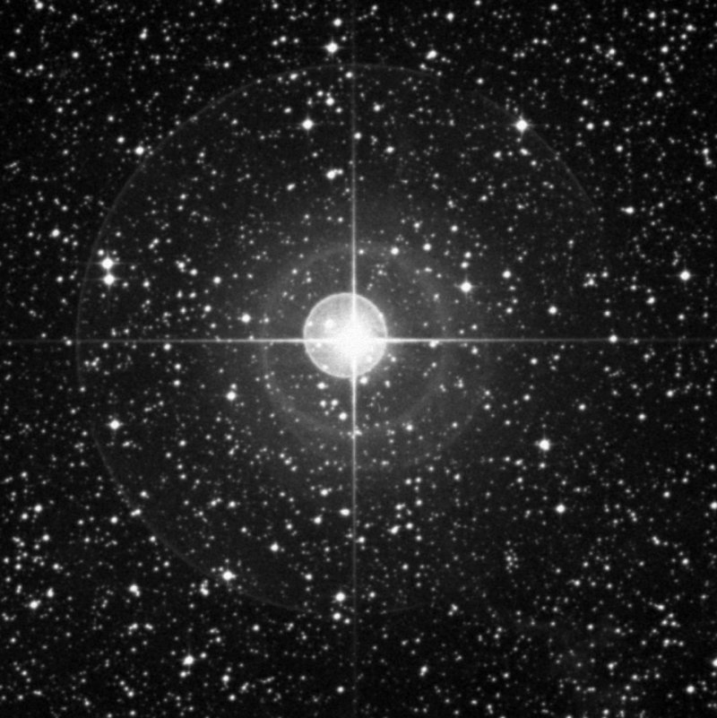 Cederblad 106j - Zoom