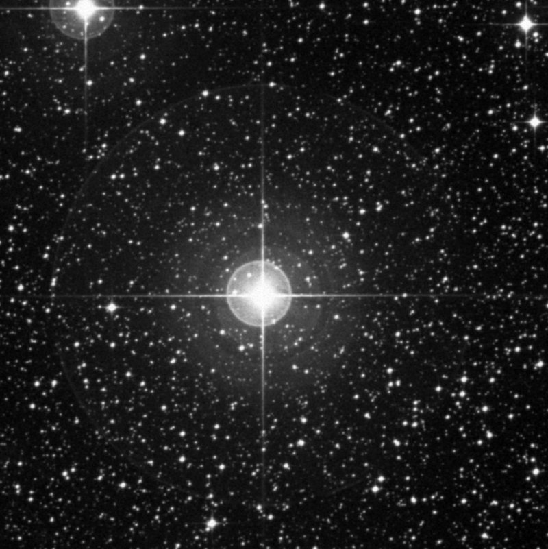 Cederblad 106o - Zoom