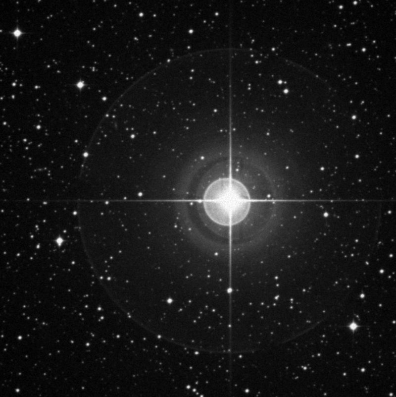 Cederblad 124 - Zoom