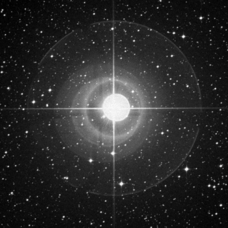 Cederblad 125d - Zoom