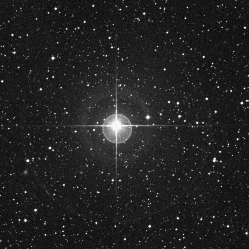 Cederblad 127 - Zoom