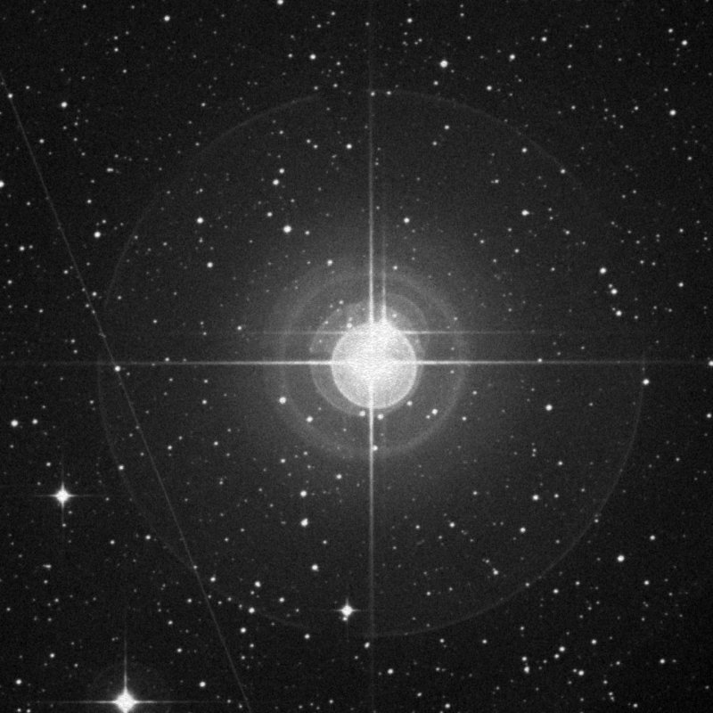 Cederblad 128 - Zoom