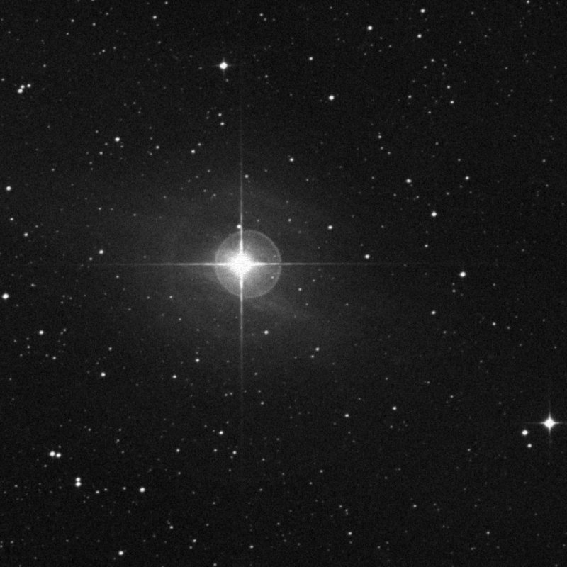 Cederblad 129a - Zoom