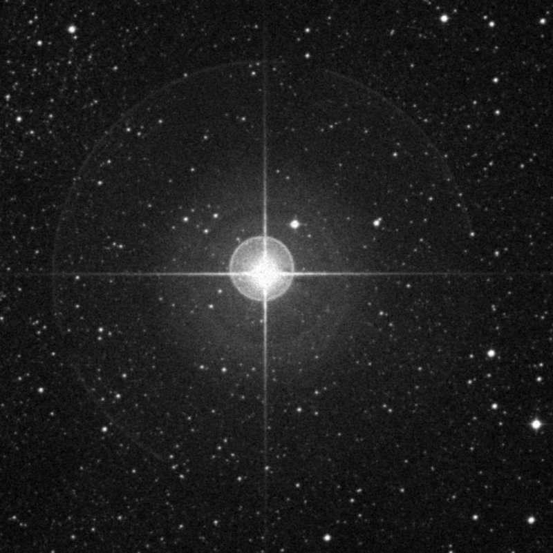 Cederblad 145 - Zoom
