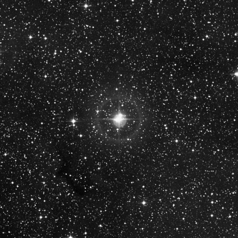 Nebulosa de la Trompa de Elefante - Zoom