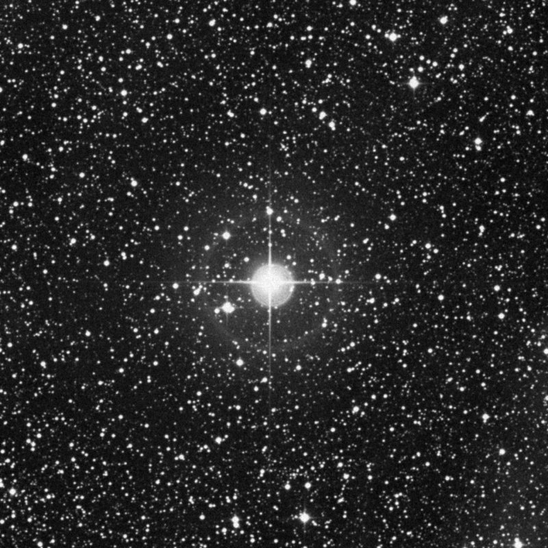 Cederblad 177 - Zoom