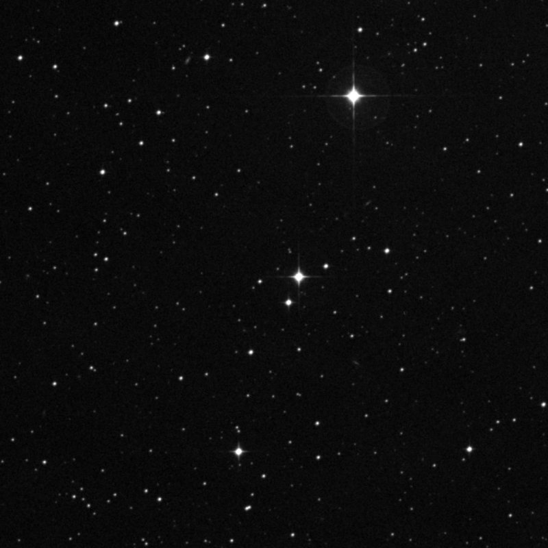 Collinder 411, CR 411 - Zoom