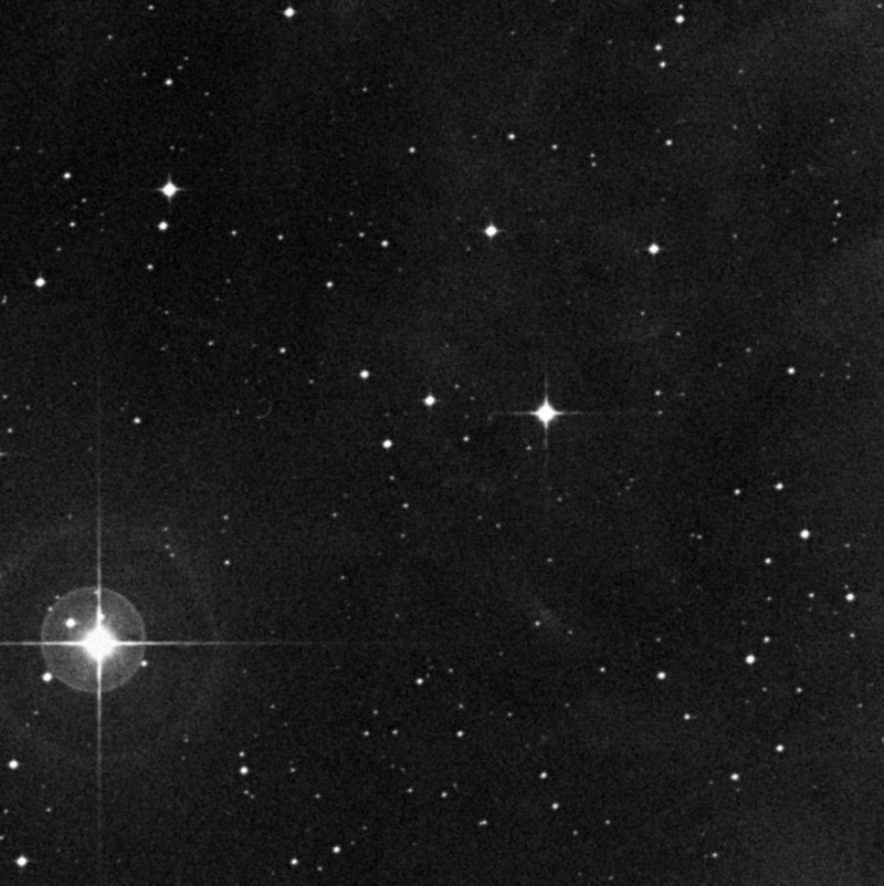 HH 403 - Zoom