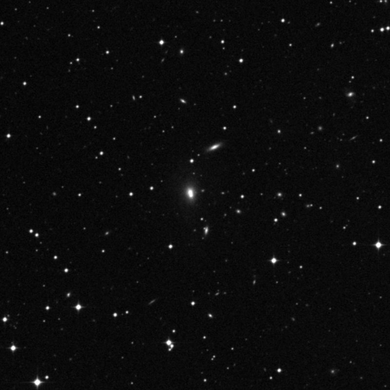 IC 194201 - Zoom