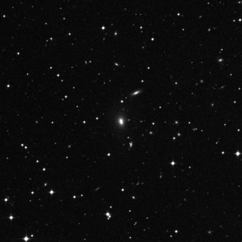 IC 194202 - Zoom