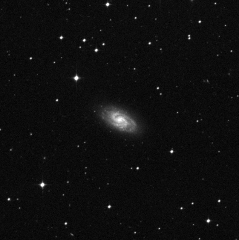 IC 1954 - Zoom
