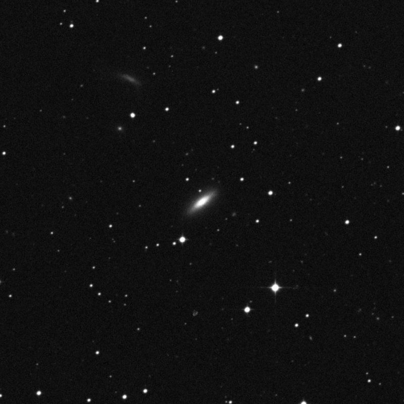 IC 1981 - Zoom