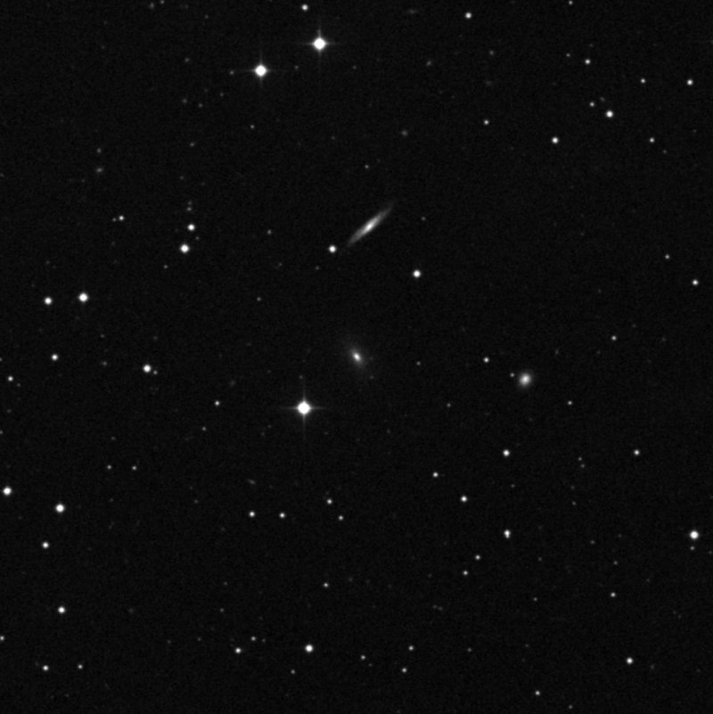 IC 203 - Zoom