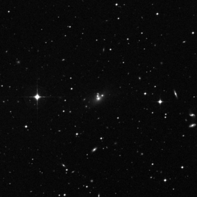 IC 198702 - Zoom