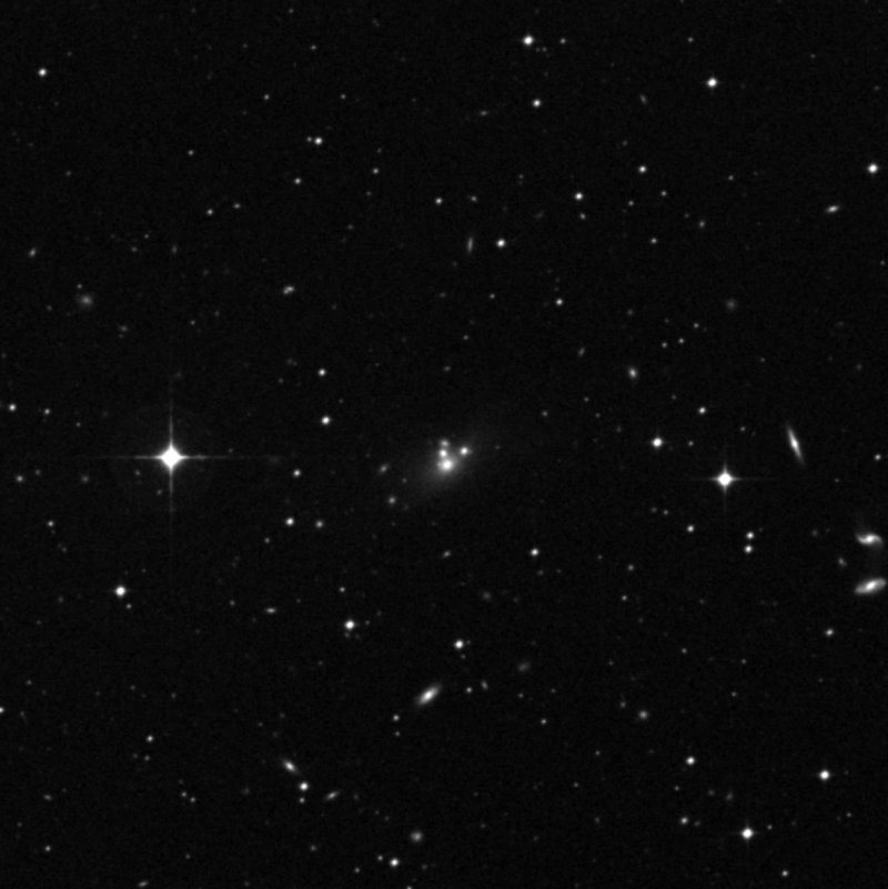 IC 198703 - Zoom