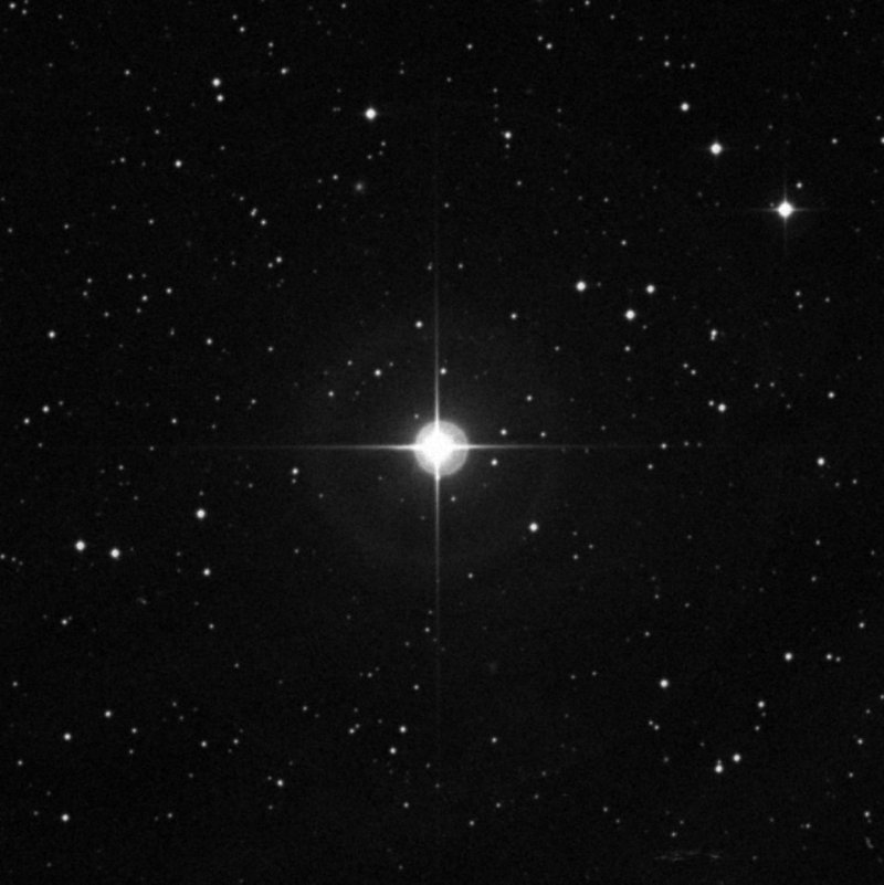 IC 1995 - Zoom