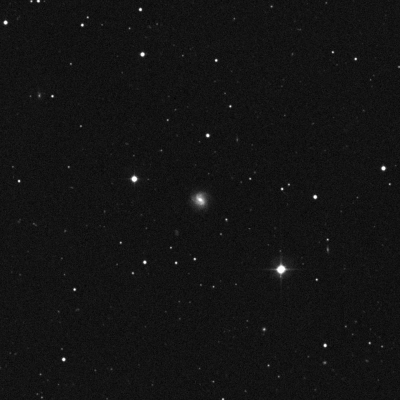 IC 205 - Zoom