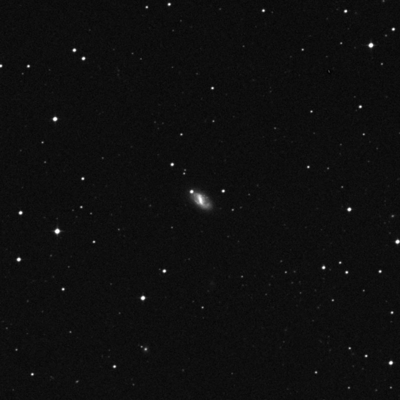 IC 2008 - Zoom