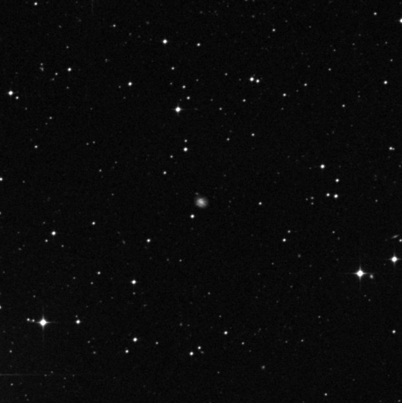 IC 2020 - Zoom