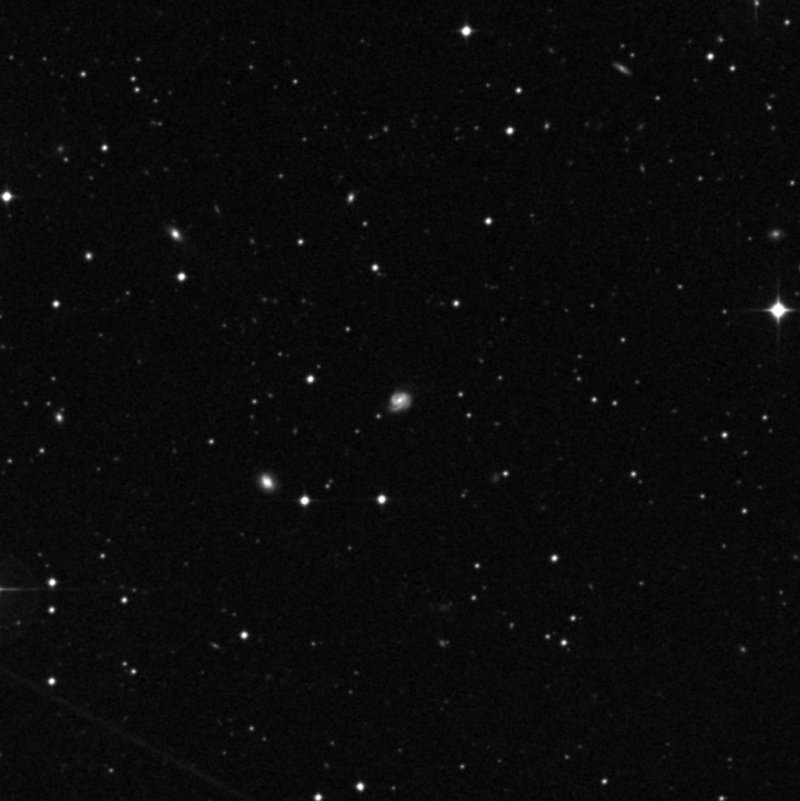 IC 2021 - Zoom