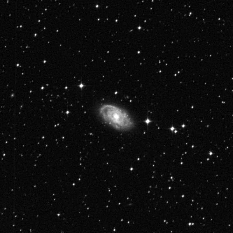 IC 2051 - Zoom