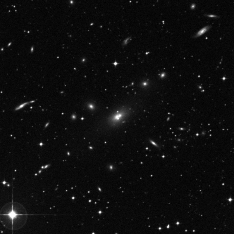 IC 208201 - Zoom
